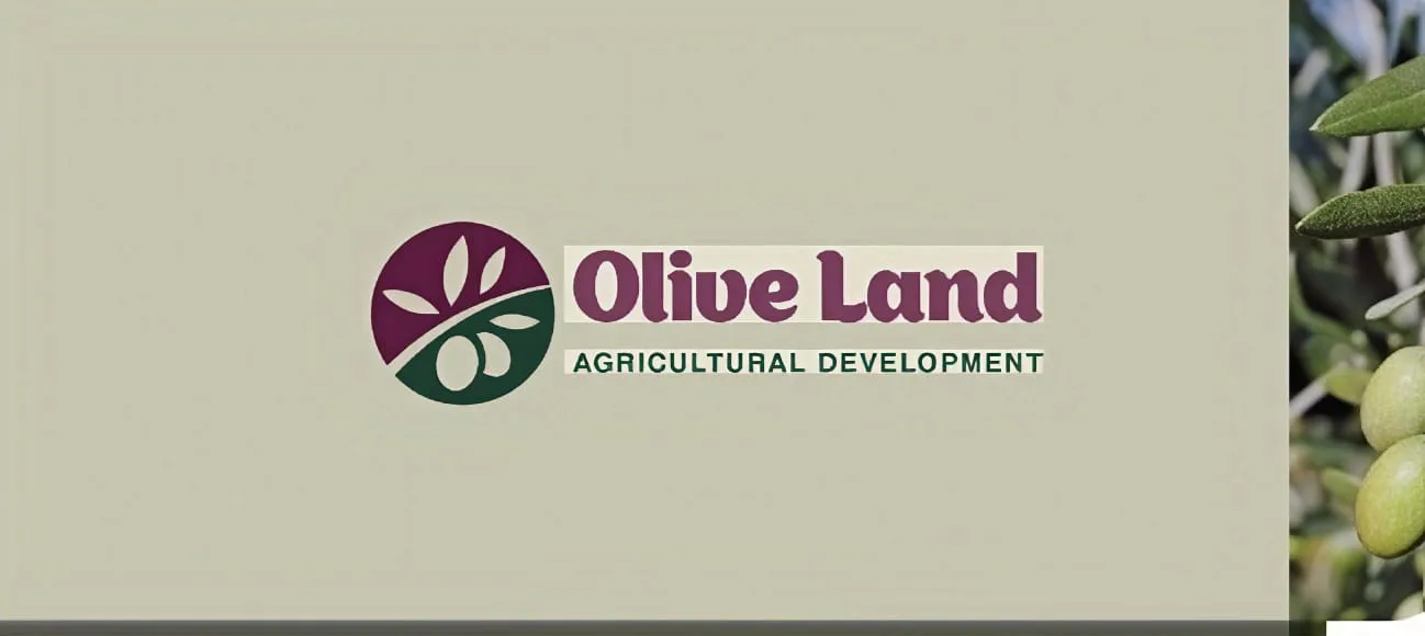 شركة اوليف لاند